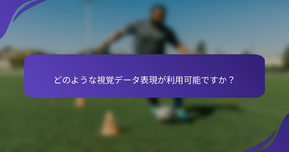 どのような視覚データ表現が利用可能ですか？